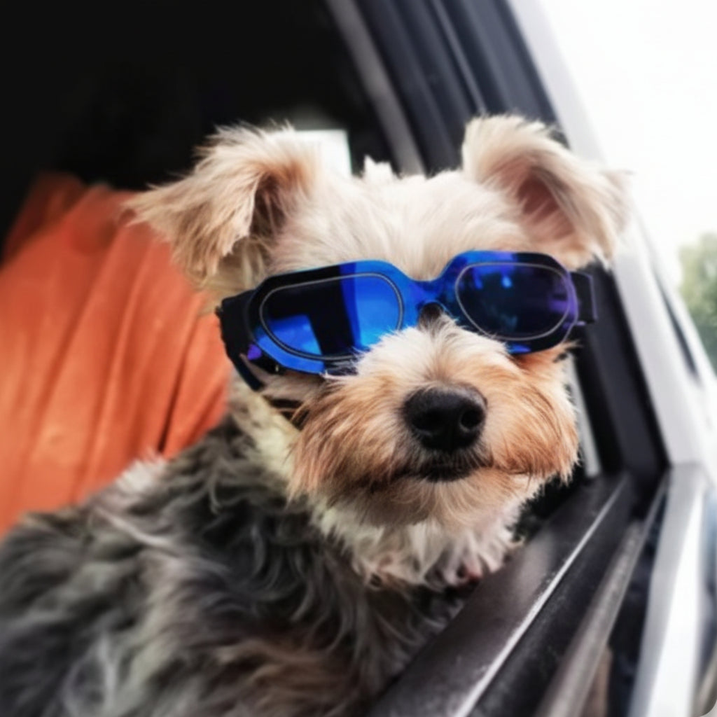 Gafas para el Sol Multicolor.