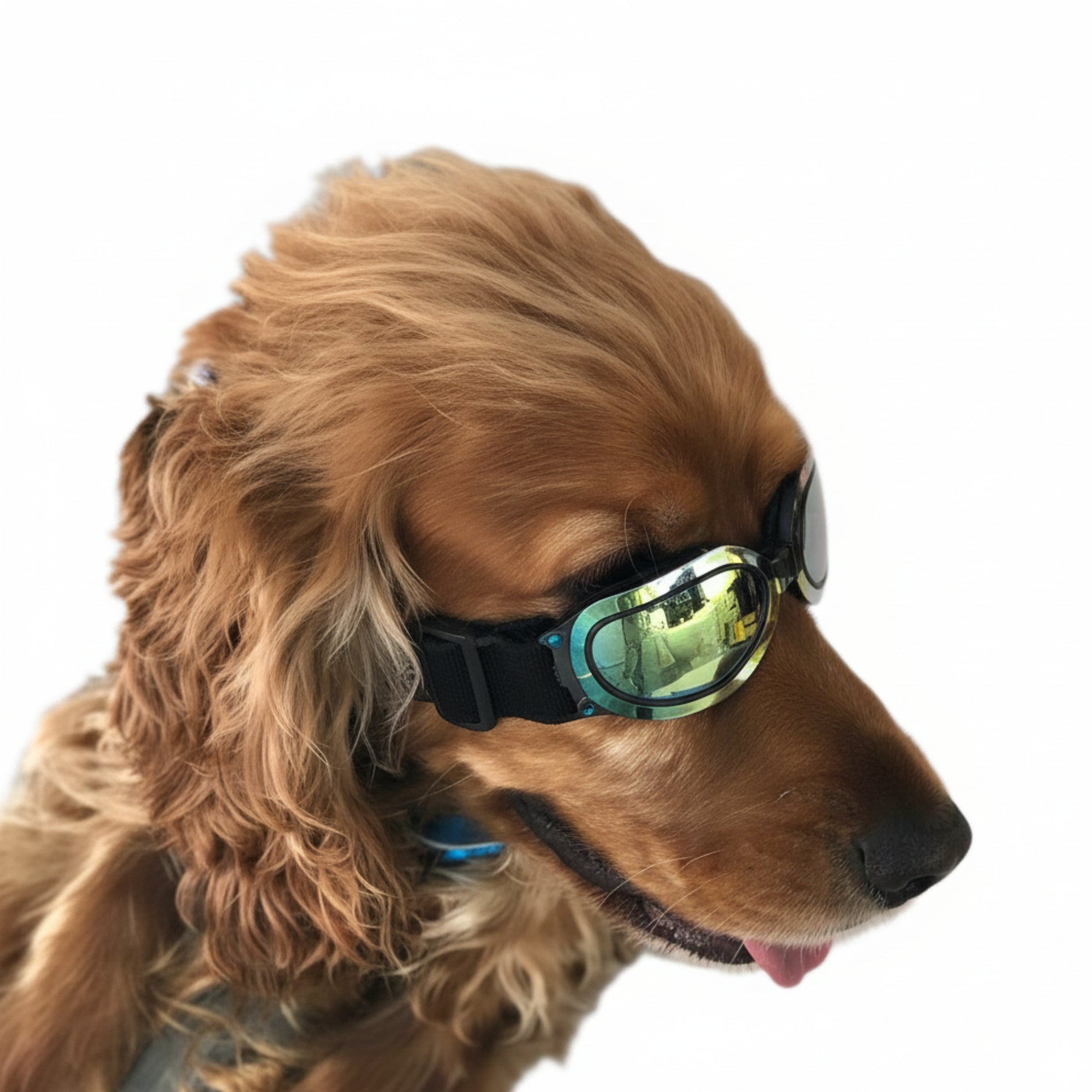 Gafas para el Sol Multicolor.