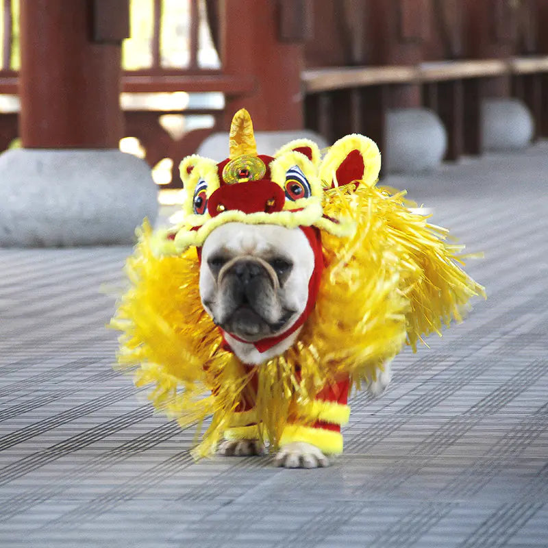 Disfraz de Dragon Chino Jizai para Mascotas