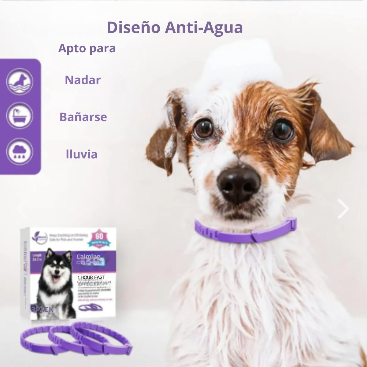 PetZen™ Collar kit 3
