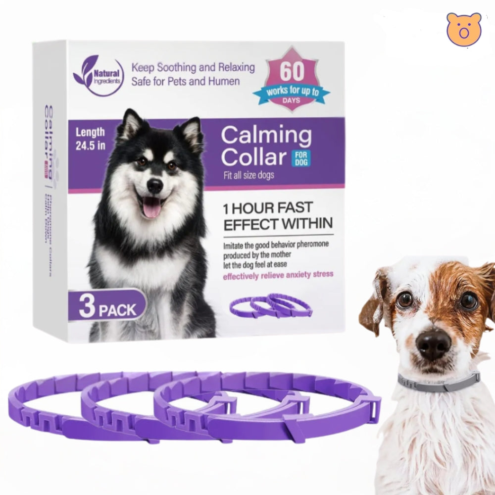 PetZen™ Collar kit 3