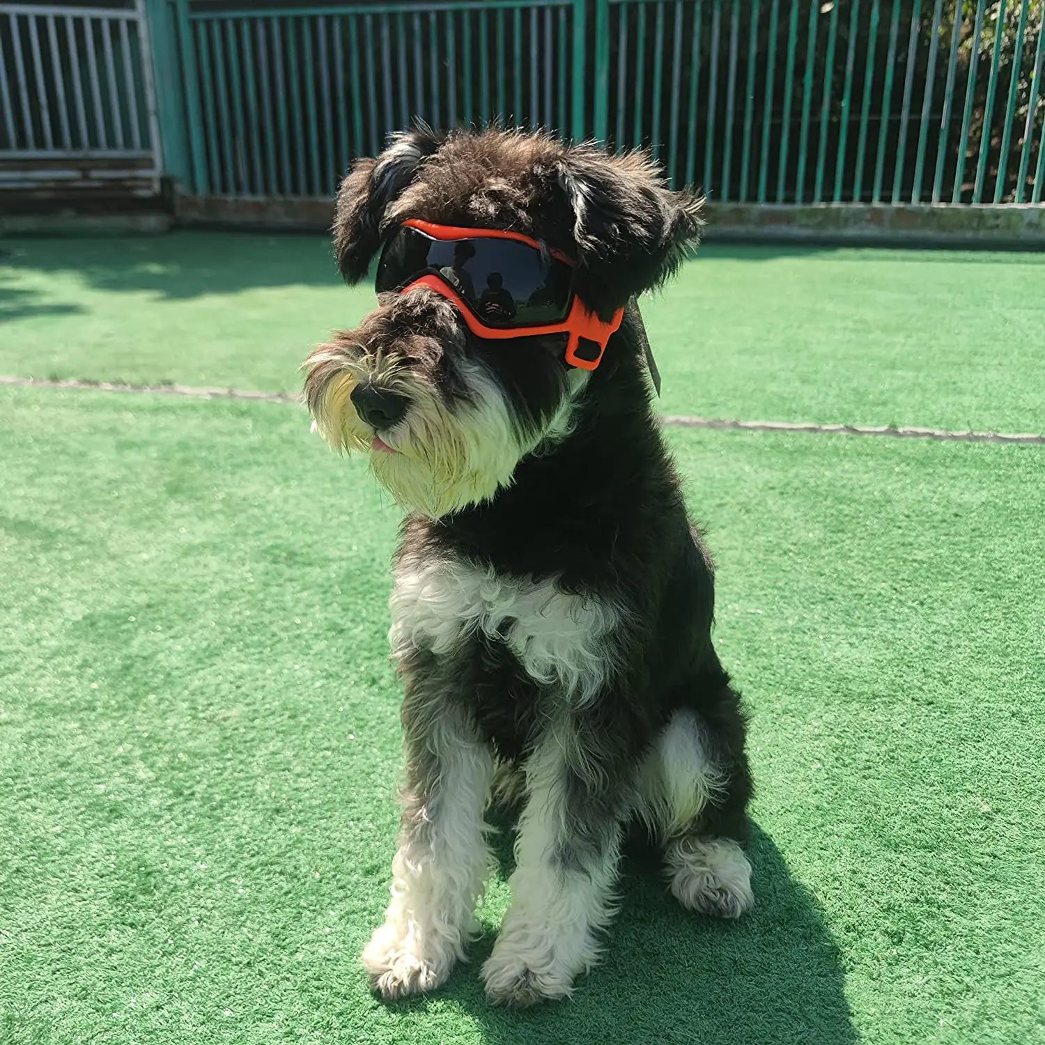 Gafas para Perros con Marco Suave Resistente a los Rayos UV.