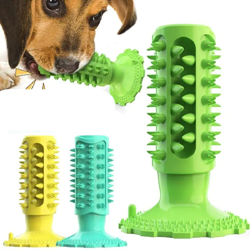 Juguete Masticable Limpiador de Dientes para Mascotas