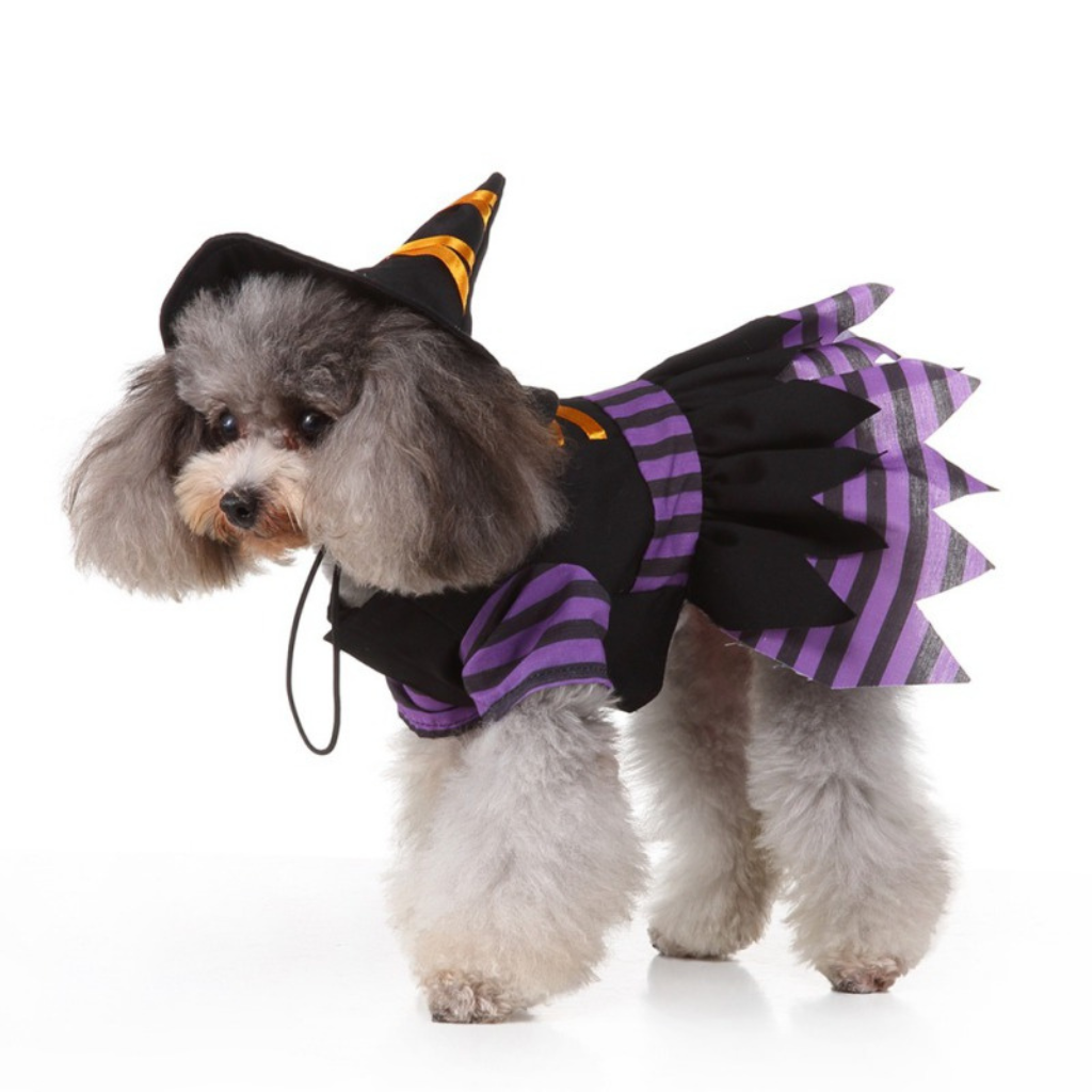 Disfraz de Brujita para Mascotas.