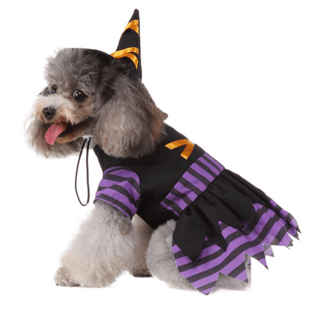 Disfraz de Brujita para Mascotas.