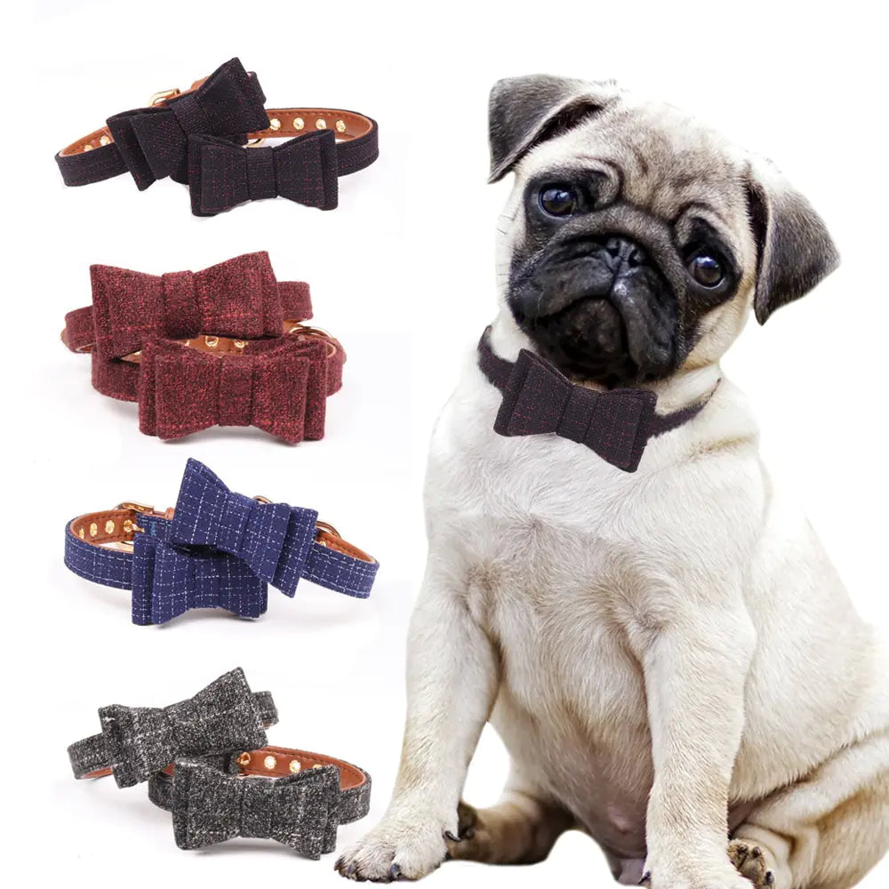 Collar Elegante Británico para Mascotas