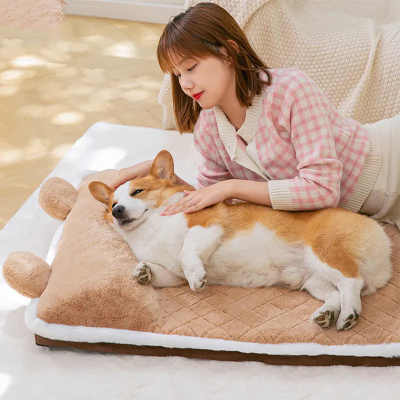 Cama Versátil 4 Estaciones para Perros y Gatos