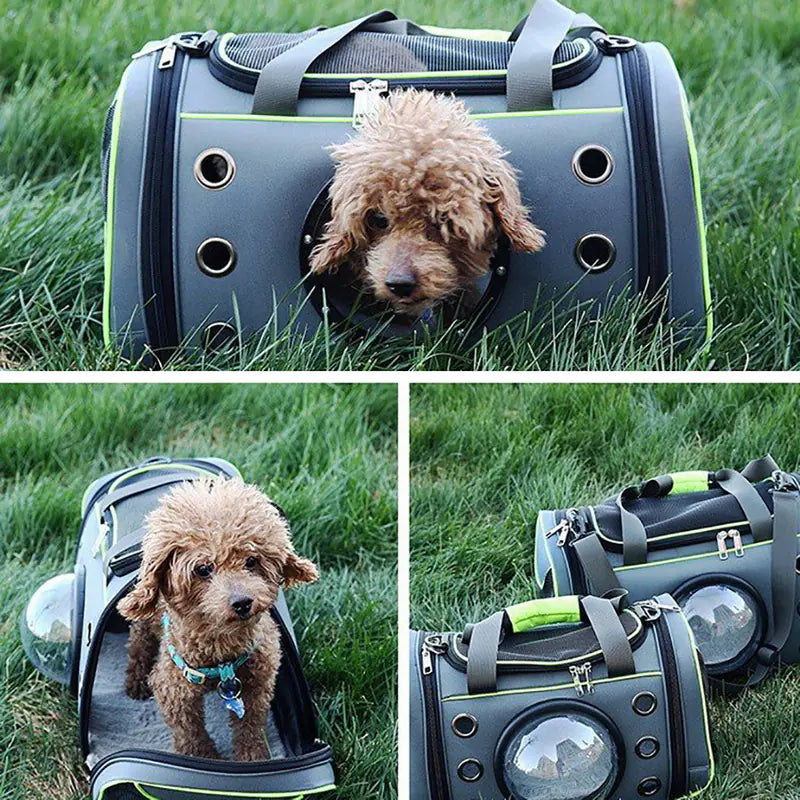 Bolso Transportador de Mascotas Tipo Cápsula
