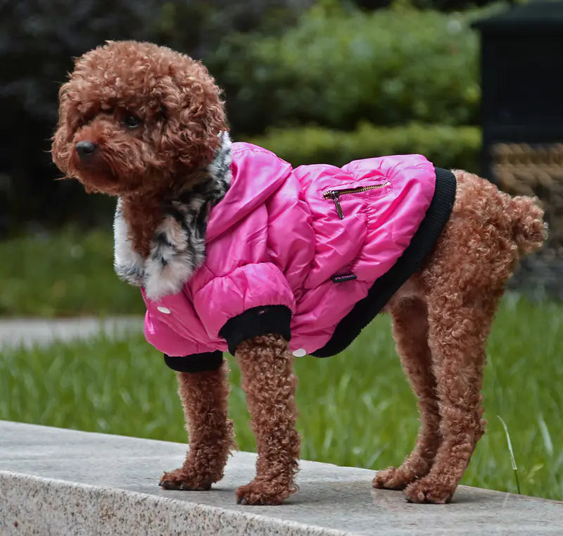 Chamarra Acolchada de Algodón con Cremallera para Mascotas