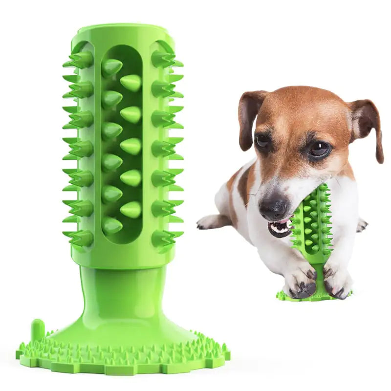 Juguete Masticable Limpiador de Dientes para Mascotas